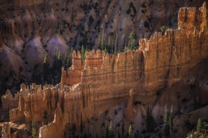 BRYCE CANYON WALLS
